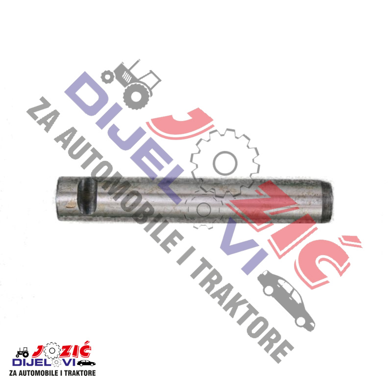 Daisy on the Ohoopee